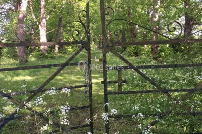 Portail en fer forgé ouvert sur un chemin verdoyant bordé d'arbres et de fleurs sauvages.