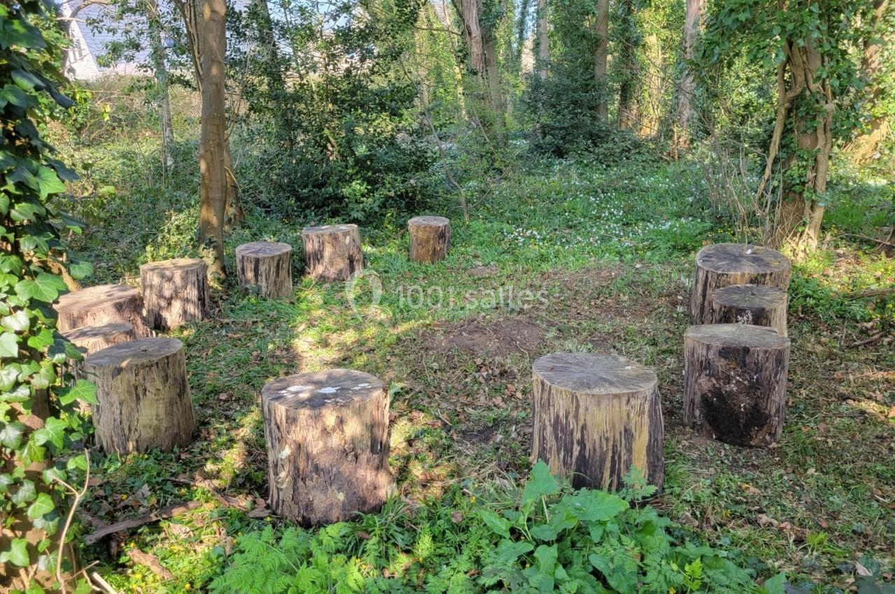 Rondins de bois disposés en cercle dans une clairière boisée, entourée de végétation dense.