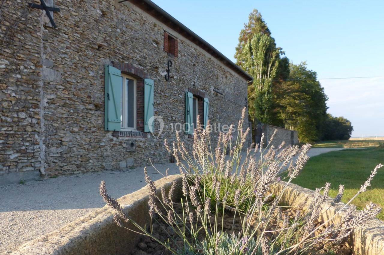 Façade en pierre d'une maison rurale avec volets verts, lavande en premier plan et chemin bordé d'arbres.
