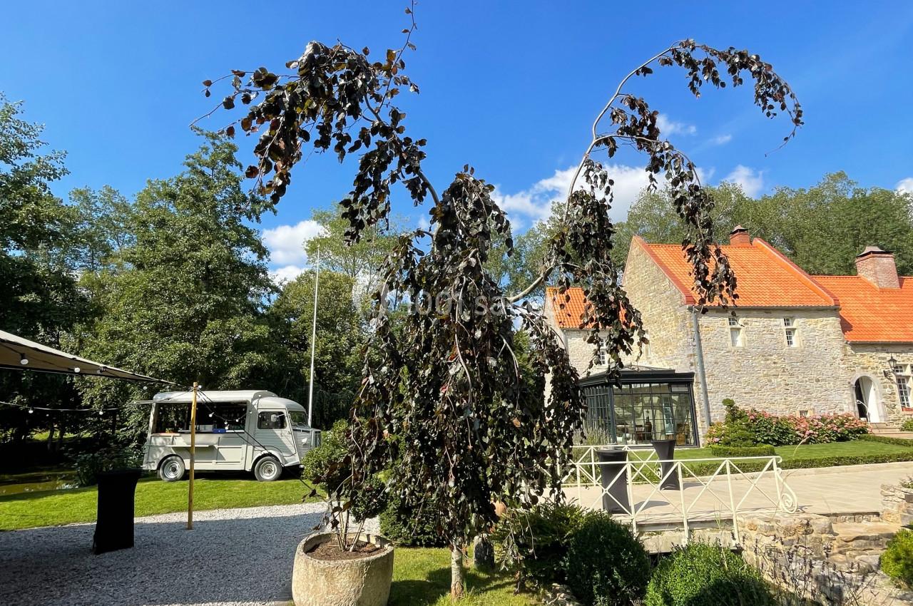 Location salle Wierre-Effroy (Pas-de-Calais) - Le Domaine We #57