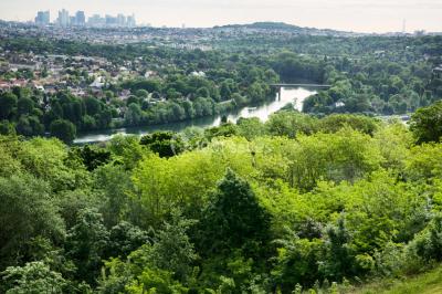 Coin cuisine moderne avec micro-ondes, cafetière, réfrigérateur, étagères en bois et horloge murale.