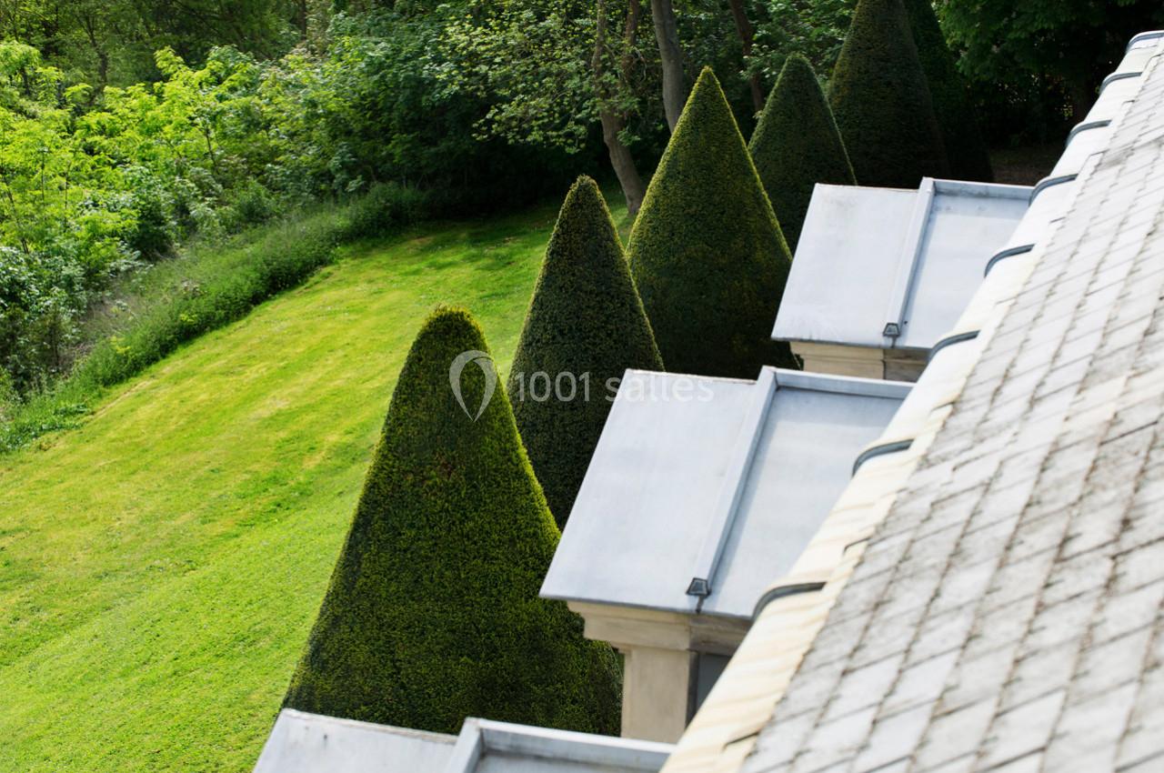 Toits en ardoise bordant un jardin avec pelouse et arbustes taillés en forme conique, entourés de végétation dense.