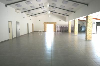 Domaine des Oliviers Grisolles Domaine des Oliviers Grisolles