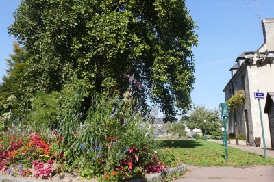 Jardin des Grands Moulins - photo 1