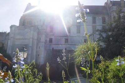 Façade d'un bâtiment historique en pierre blanche partiellement cachée par des arbres dans un jardin ensoleillé.