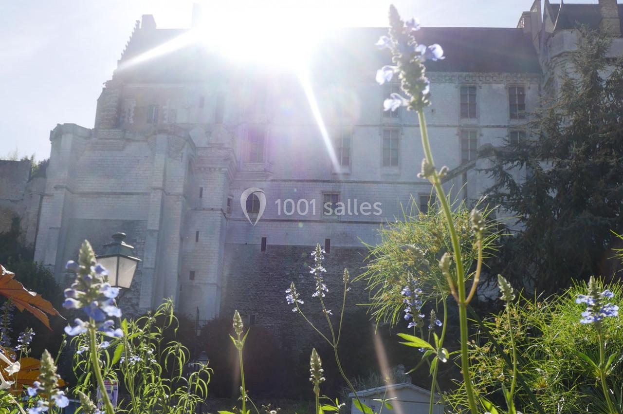 Façade d'un château en pierre blanche éclairée par le soleil, avec des fleurs bleues au premier plan.