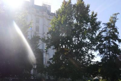 Façade d'un bâtiment historique en pierre blanche partiellement cachée par des arbres dans un jardin ensoleillé.