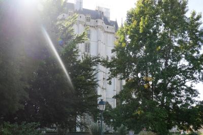 Façade d'un bâtiment historique en pierre blanche partiellement cachée par des arbres dans un jardin ensoleillé.