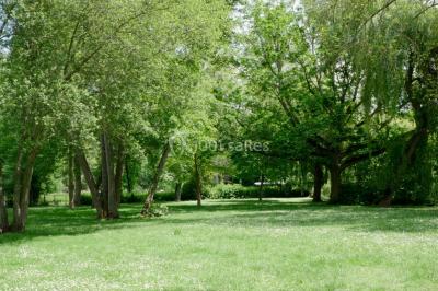 Étang calme entouré d'arbres, avec des nénuphars flottant à la surface et une petite berge en pierre à droite.
