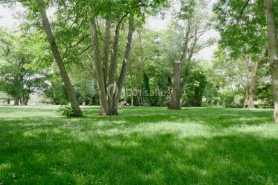 Étang bordé d'arbres avec des nénuphars à la surface et un petit pont en pierre sur la droite.