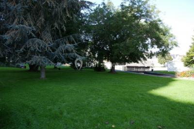 Étang bordé d'arbres avec des nénuphars à la surface et un petit pont en pierre sur la droite.