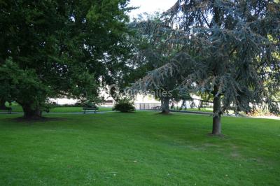 Étang bordé d'arbres avec des nénuphars à la surface et un petit pont en pierre sur la droite.