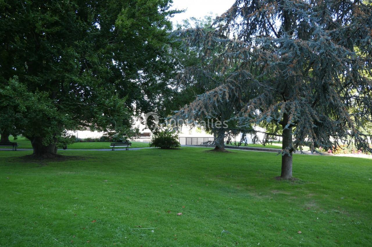 Pelouse verdoyante entourée d'arbres avec des bancs en arrière-plan sous un ciel dégagé.