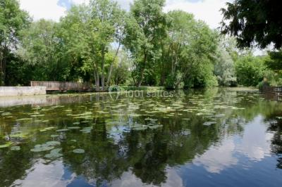 Étang bordé d'arbres avec des nénuphars à la surface et un petit pont en pierre sur la droite.