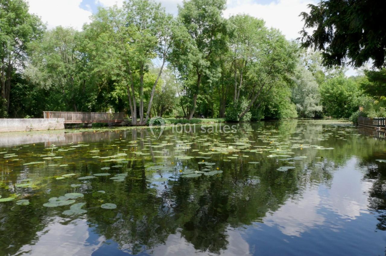 Étang calme entouré d'arbres, avec des nénuphars flottant à la surface et un pont en bois visible à gauche.