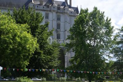 Étang bordé d'arbres avec des nénuphars à la surface et un petit pont en pierre sur la droite.