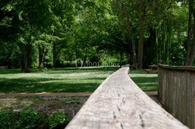 Étang bordé d'arbres avec des nénuphars à la surface et un petit pont en pierre sur la droite.