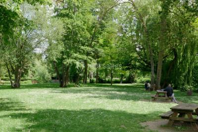 Étang bordé d'arbres avec des nénuphars à la surface et un petit pont en pierre sur la droite.