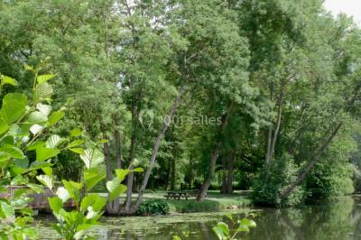 Étang bordé d'arbres avec des nénuphars à la surface et un petit pont en pierre sur la droite.