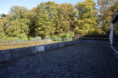 Salle de travail avec éviers en inox, armoires rouges, échelle et murs beige clair.