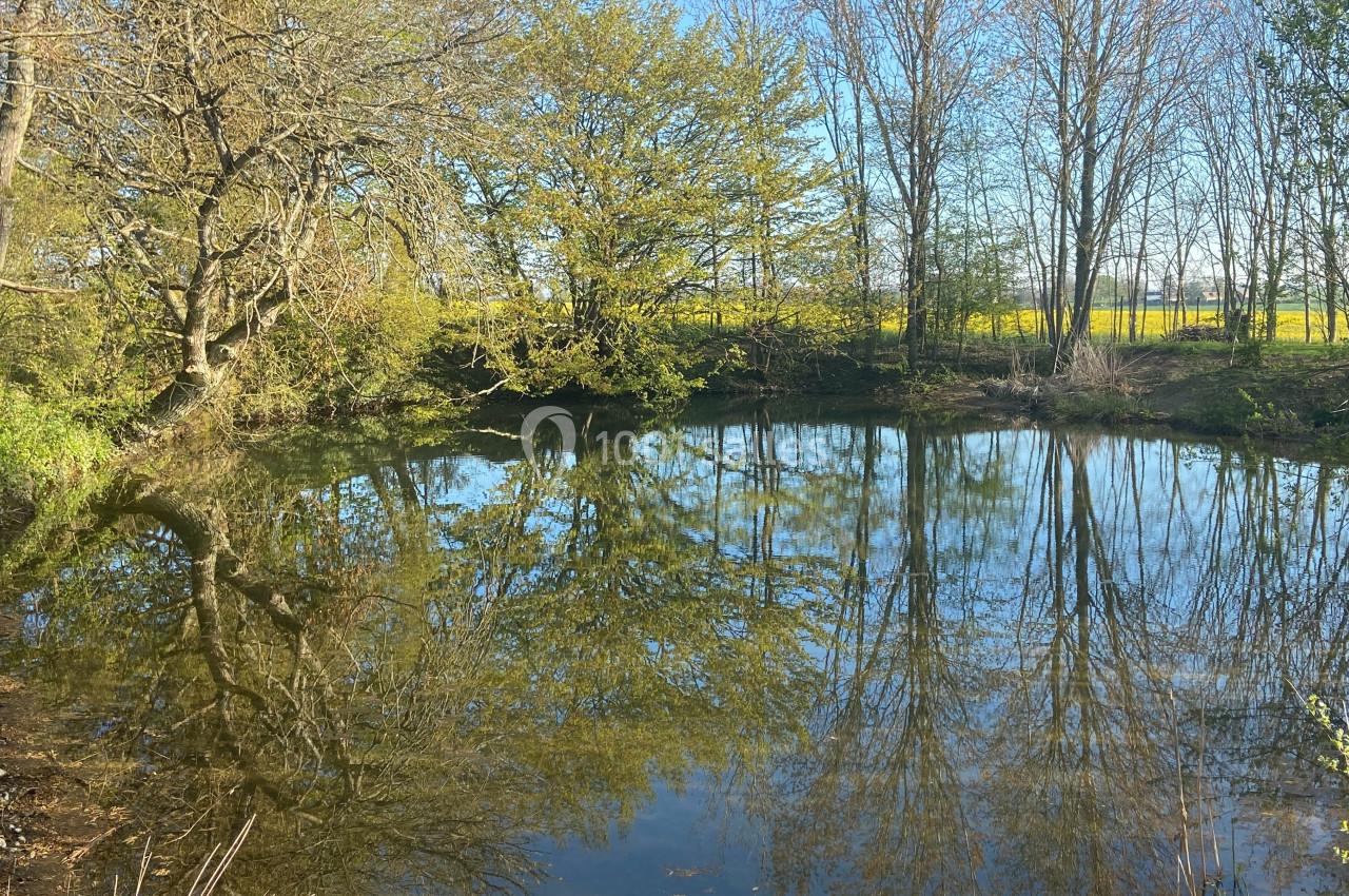 Petit étang entouré d'arbres avec leurs reflets visibles dans l'eau calme sous un ciel dégagé.