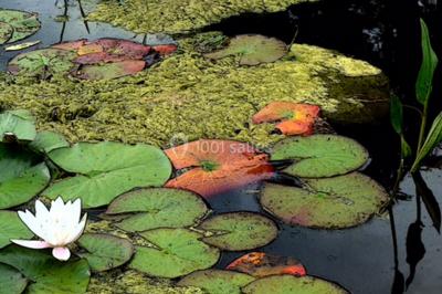 Location salle Saint-Martin-sur-Ocre (Loiret) - Domaine du Colombier #51