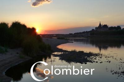 Location salle Saint-Martin-sur-Ocre (Loiret) - Domaine du Colombier #51