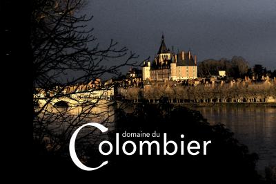 Location salle Saint-Martin-sur-Ocre (Loiret) - Domaine du Colombier #51