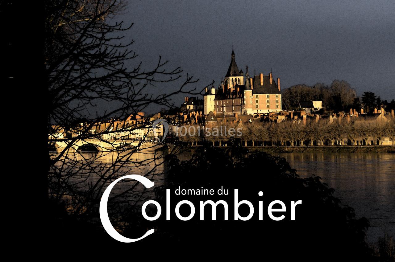 Location salle Saint-Martin-sur-Ocre (Loiret) - Domaine du Colombier #3