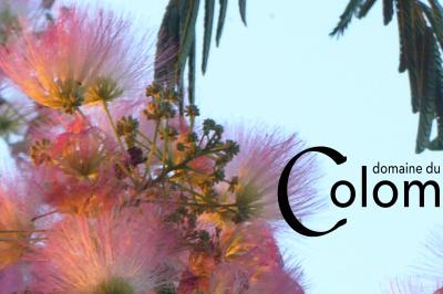 Location salle Saint-Martin-sur-Ocre (Loiret) - Domaine du Colombier #51