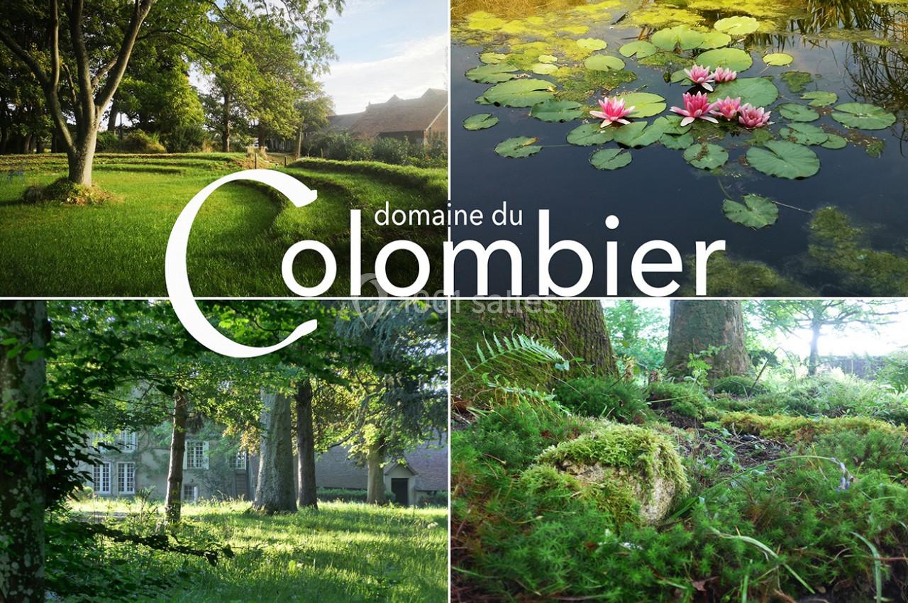 Location salle Saint-Martin-sur-Ocre (Loiret) - Domaine du Colombier #11