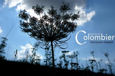 Location salle Saint-Martin-sur-Ocre (Loiret) - Domaine du Colombier #51