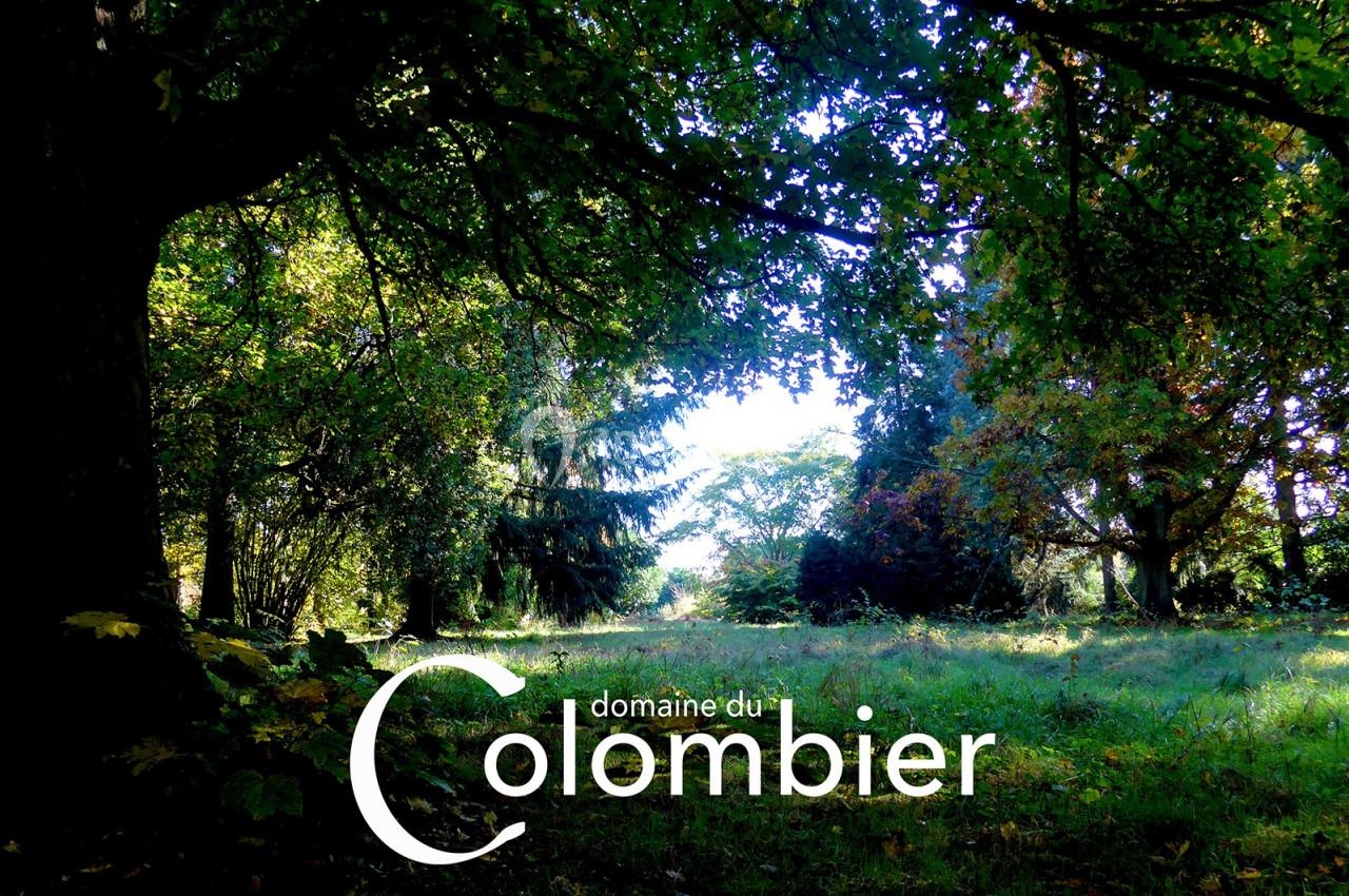 Location salle Saint-Martin-sur-Ocre (Loiret) - Domaine du Colombier #16