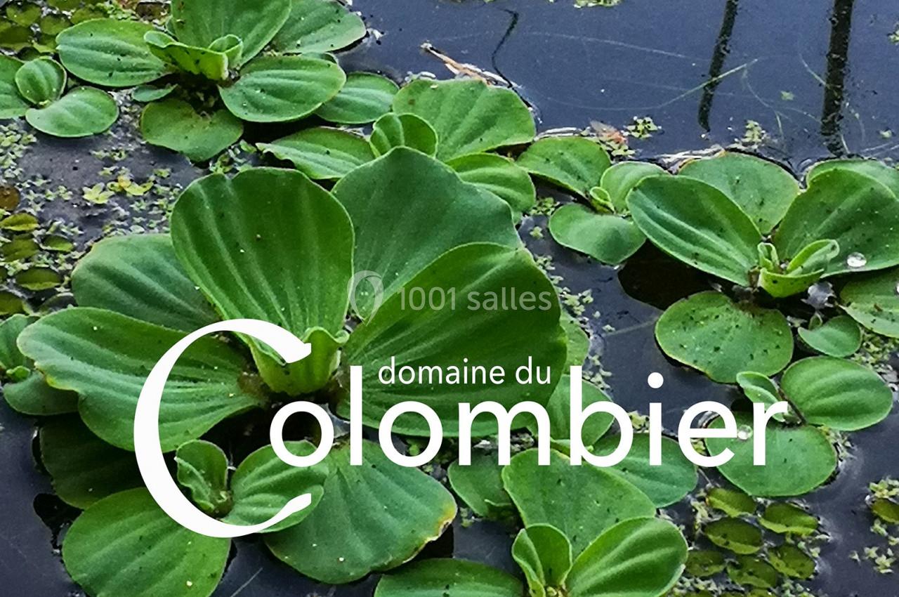 Location salle Saint-Martin-sur-Ocre (Loiret) - Domaine du Colombier #33