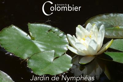 Location salle Saint-Martin-sur-Ocre (Loiret) - Domaine du Colombier #51