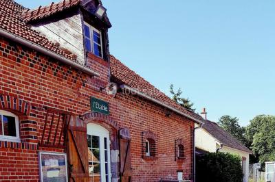 Deux grands arbres ombragent une clairière ensoleillée avec de l'herbe et des feuillages denses en arrière-plan.