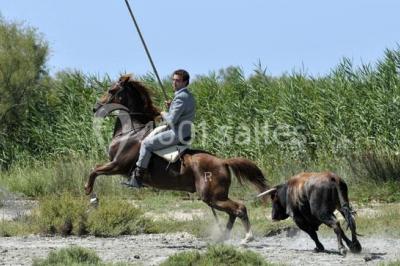 Location salle Fleury (Aude) - Manade Marge #20