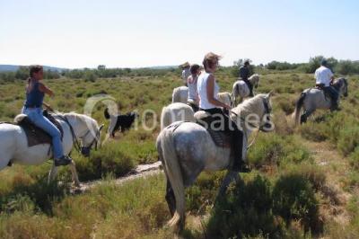 Location salle Fleury (Aude) - Manade Marge #20