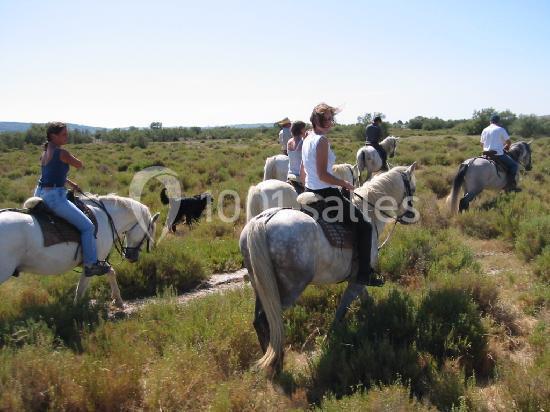 Location salle Fleury (Aude) - Manade Marge #18