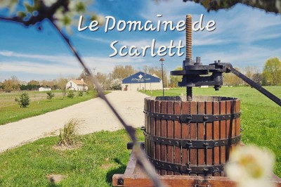 Un couple en tenue de mariage s'embrasse devant une arche décorée, dans un cadre champêtre en plein air.