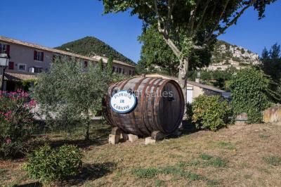 Location salle Séguret (Vaucluse) - Domaine de Cabasse #8