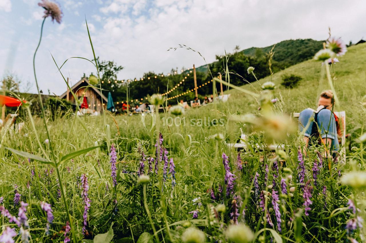 Champ fleuri avec des herbes hautes et des fleurs violettes, en arrière-plan une fête en plein air sous des guirlandes…