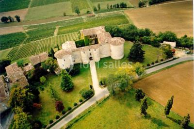 Vue aérienne d'un bâtiment historique entouré de jardins, de vignes et de maisons dans un paysage rural.