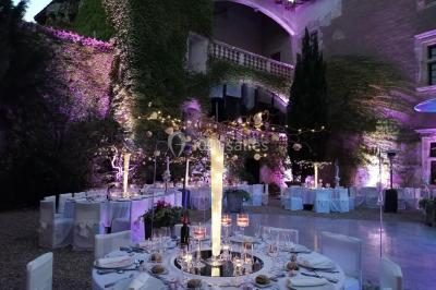 Vue aérienne d'un bâtiment historique entouré de jardins, de vignes et de maisons dans un paysage rural.