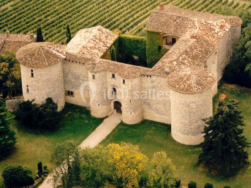 Vue aérienne d'un château médiéval en pierre entouré de vignes et de végétation.