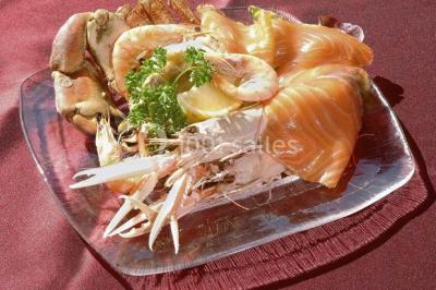 Piscine intérieure visible à travers une baie vitrée entourée de murs recouverts de plantes grimpantes, avec des tables…