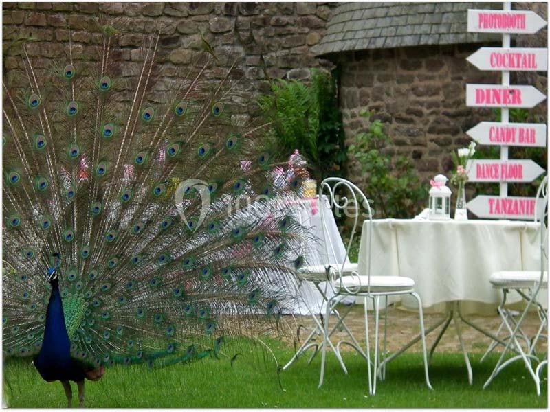 Location salle Lanloup (Côtes-d'Armor) - Manoir De La Noë Verte #7