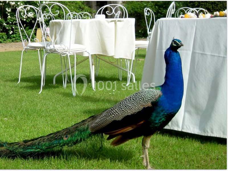 Location salle Lanloup (Côtes-d'Armor) - Manoir De La Noë Verte #11