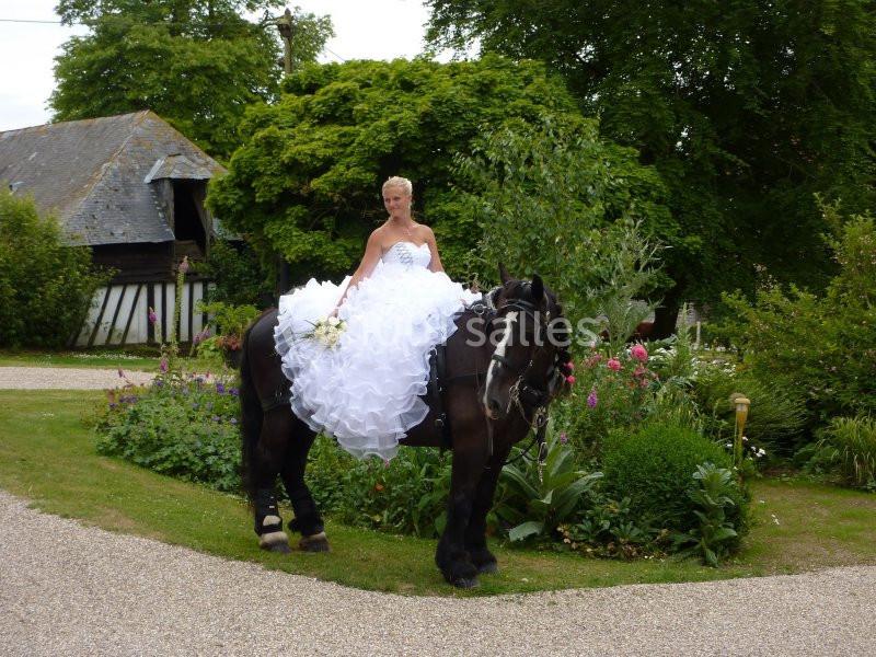Une femme en robe de mariée blanche est assise sur un cheval noir dans un jardin verdoyant.
