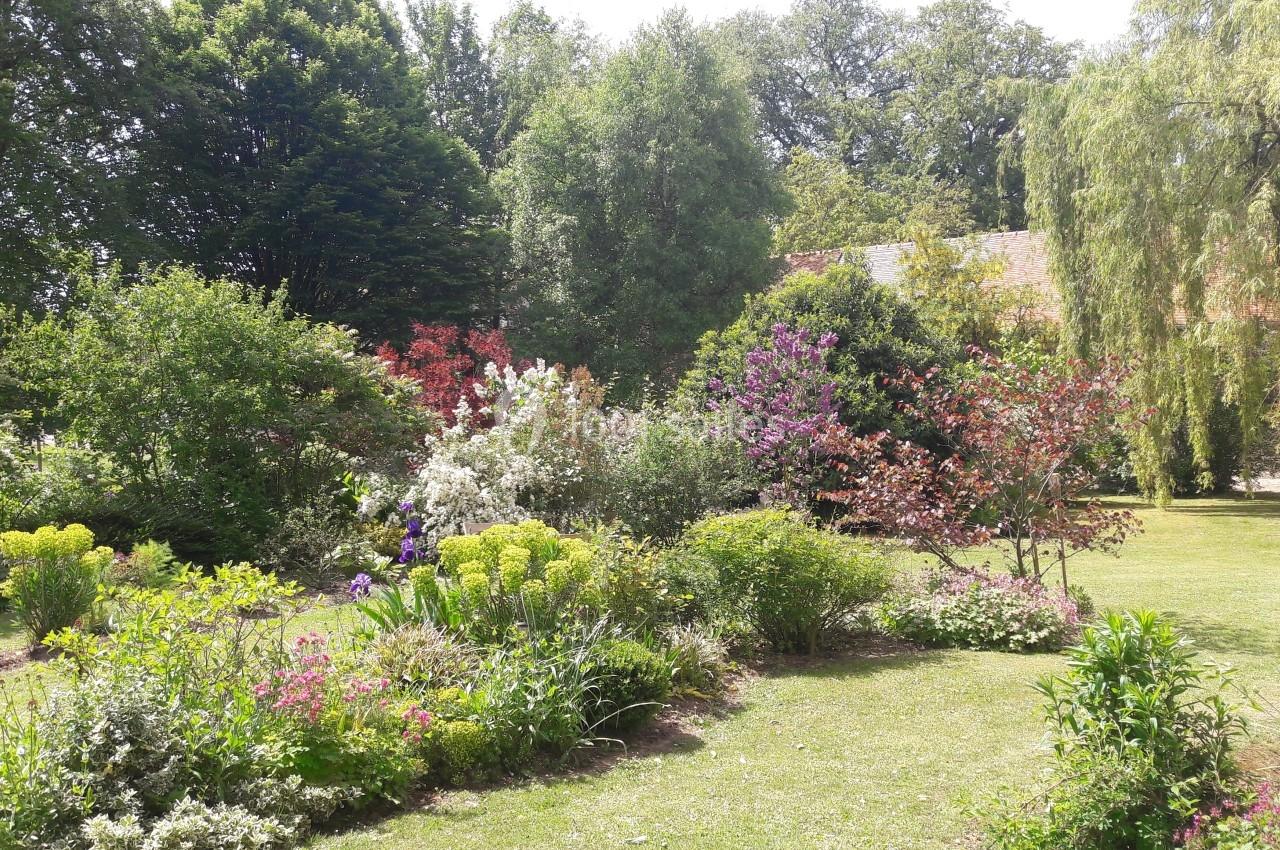 Jardin verdoyant avec massifs fleuris, arbres variés et pelouse sous un ciel ensoleillé.